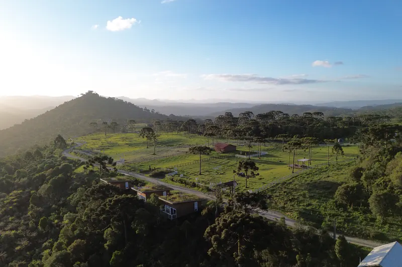Araucárias ao entardecer na estrada do Morro da Igreja, em Urubici.